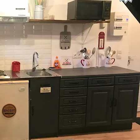 Apartman Domaine De La Tabatiere - 3 Authentiques Dont 1 Pmr Rhinau