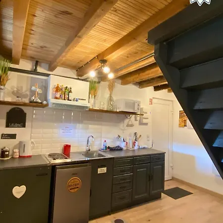 Domaine De La Tabatiere - 3 Authentiques Dont 1 Pmr Apartman Rhinau